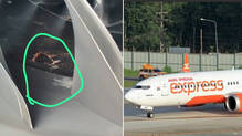 air-india-express-bird-strike-bengaluru-148-passengers-safe