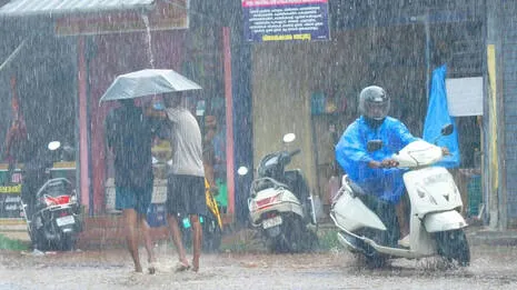 rain.1.4074483