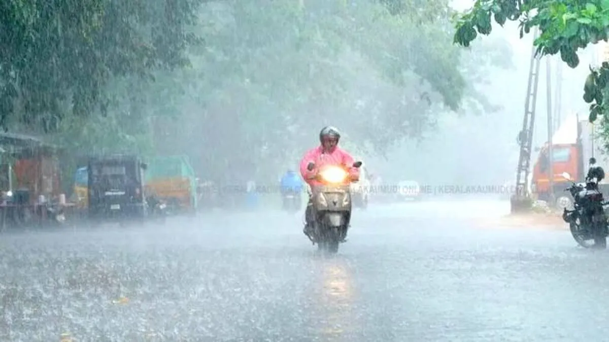 rain-alert