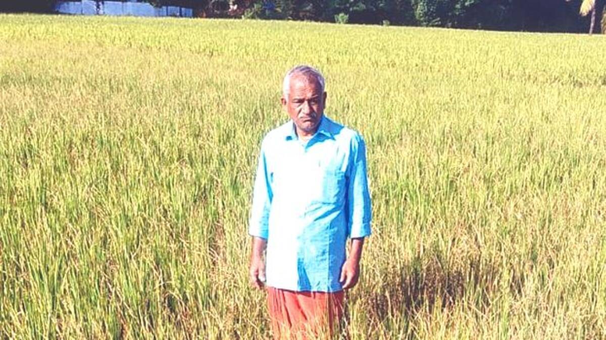 padam