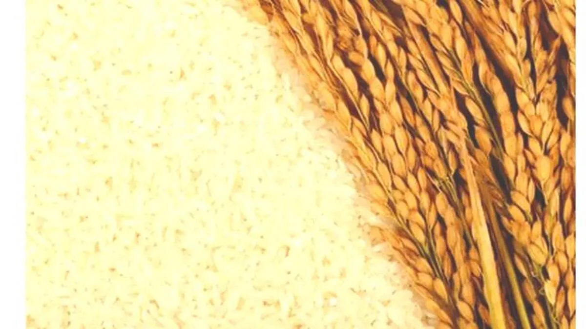 rice