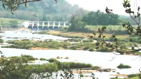 gayathri-puzha.1792426184