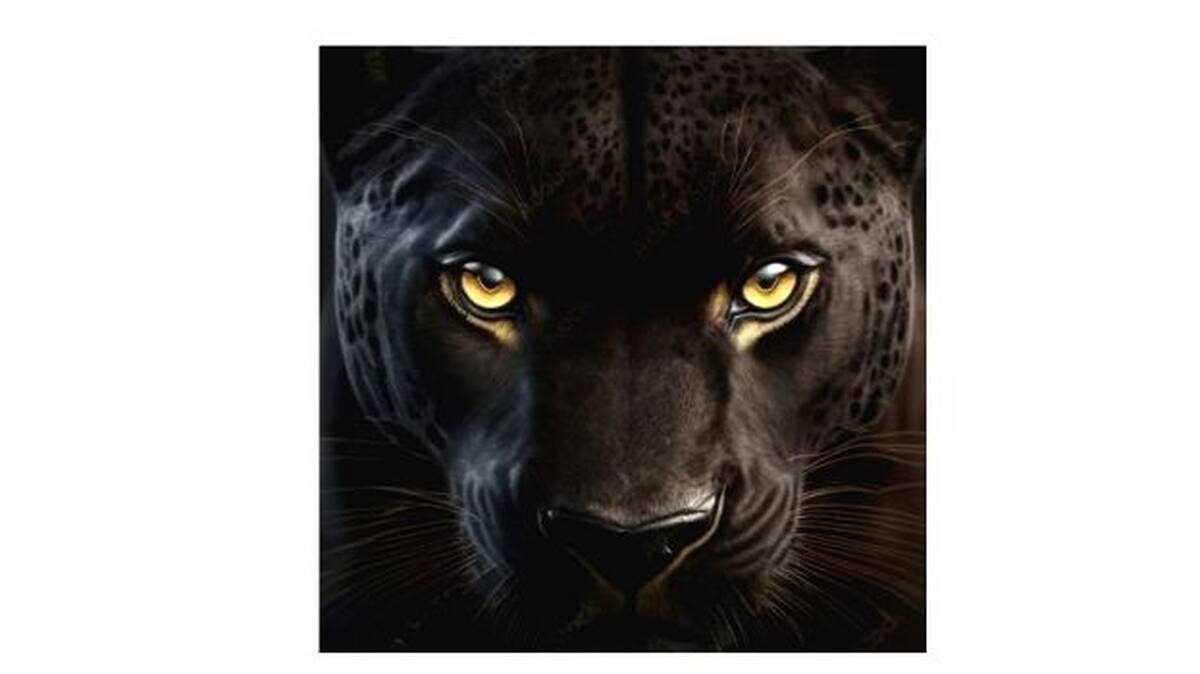black-tiger-