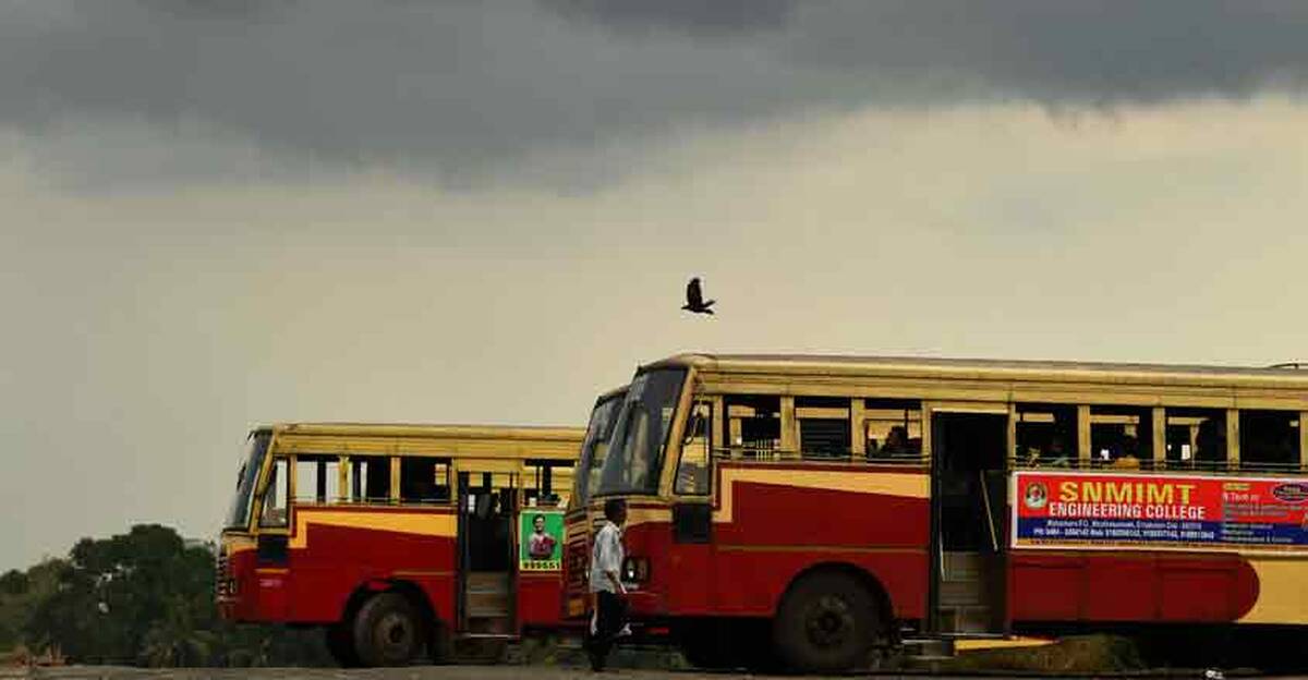 bus