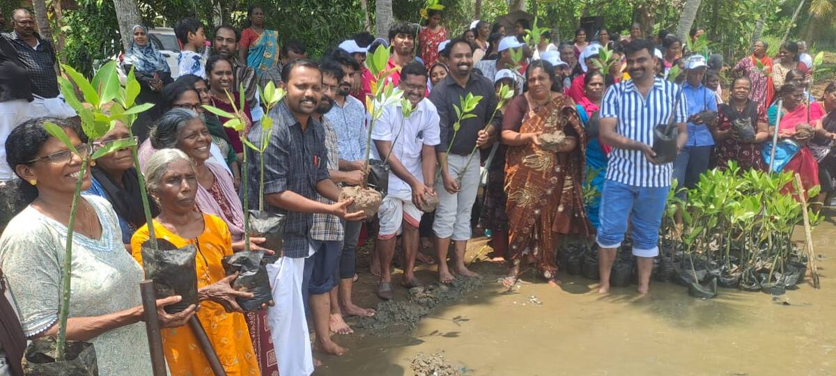 kandala-