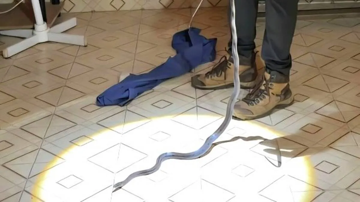 snake
