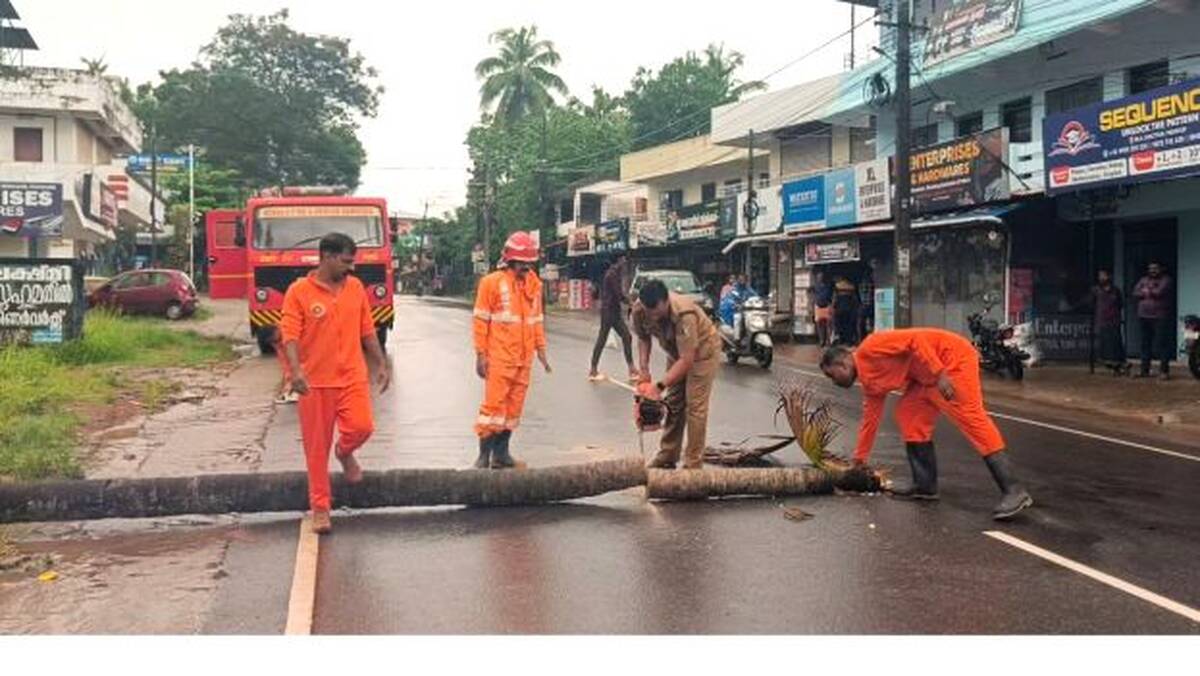 paravoor