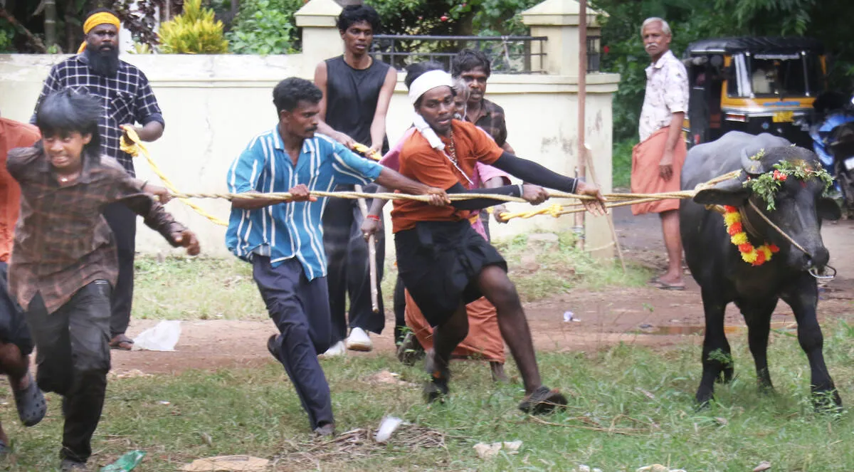 Kerala Kaumudi Photo Gallery