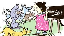 street-dogs-