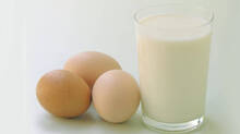 egg