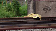 dead-body