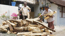 wood