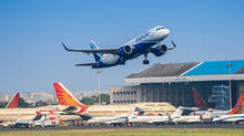 indigo-