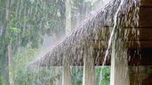 rain