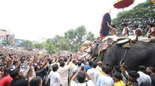thrissur-pooram