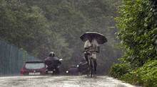 rain