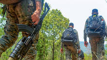 jawans-