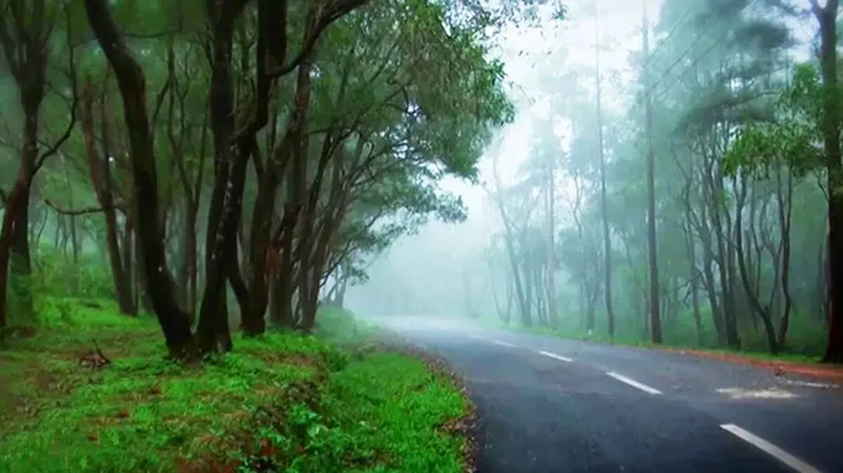 ponmudi-road-