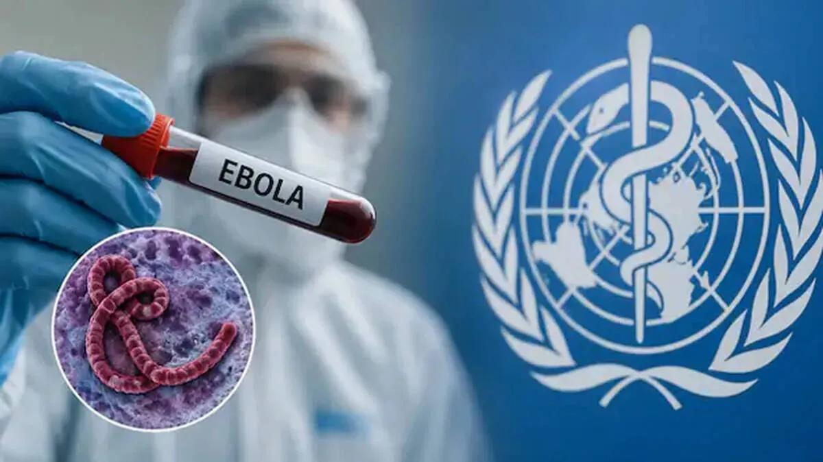 ebola ebola