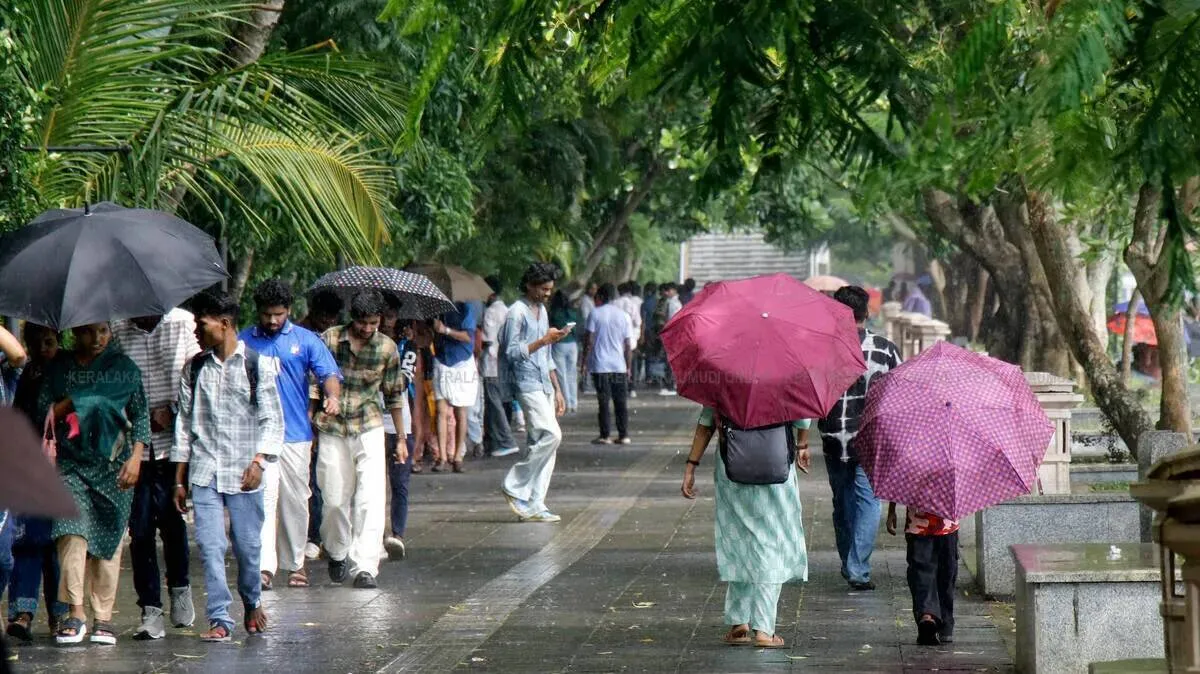 rain