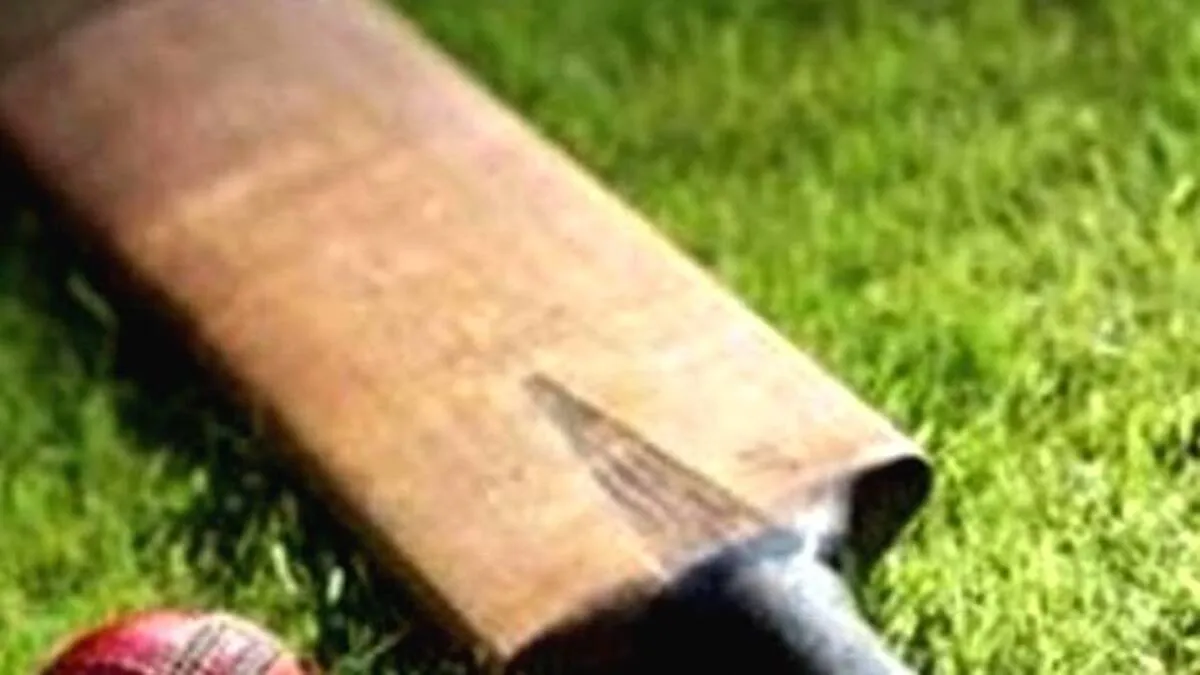 cricket cricket