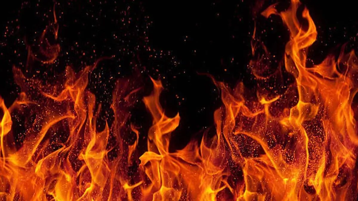 Bus carrying Umrah pilgrims catches fire in Kannur