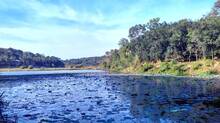 rivers-