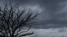 rain