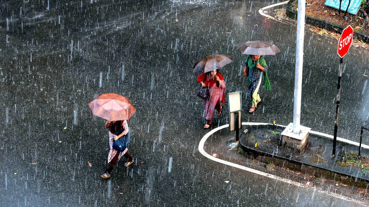 imd-rains-