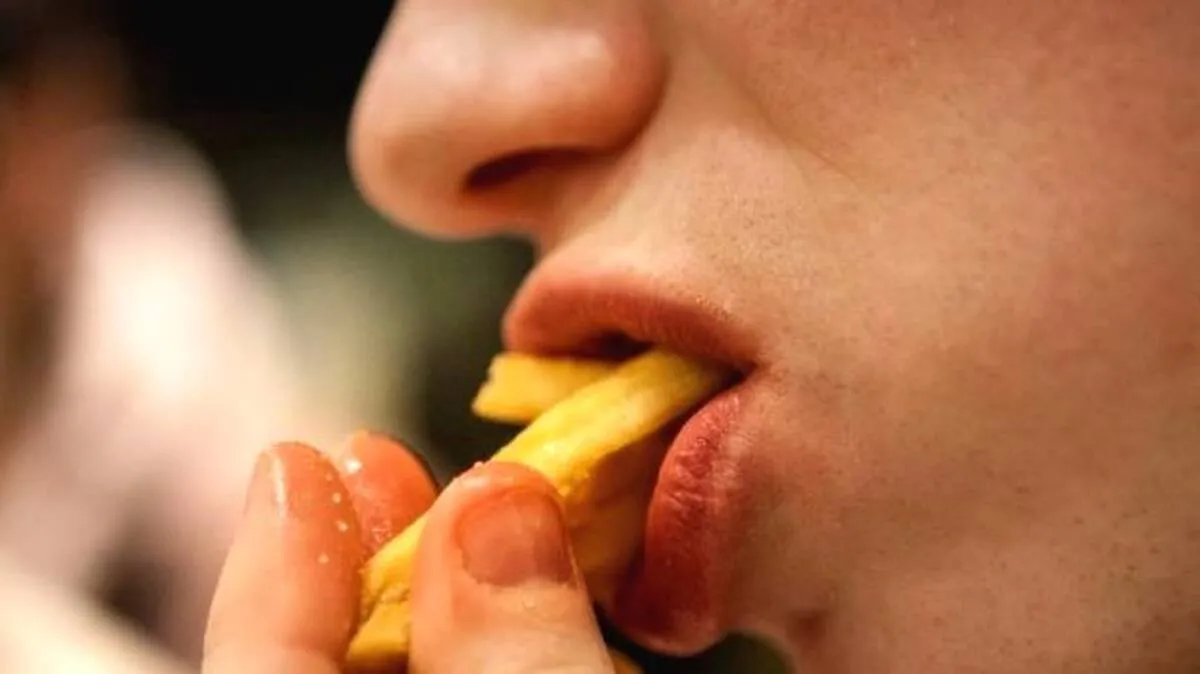 french-fries- french-fries-