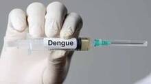 dengue-