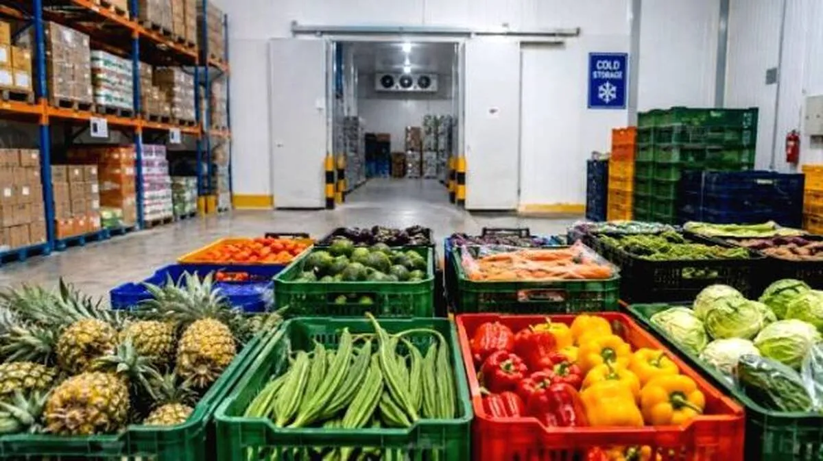 Storing the Season: Cold rooms, warehouses and a second chance for Kerala’s farmers and small processors