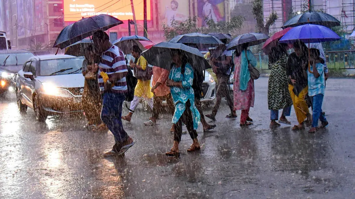 rain