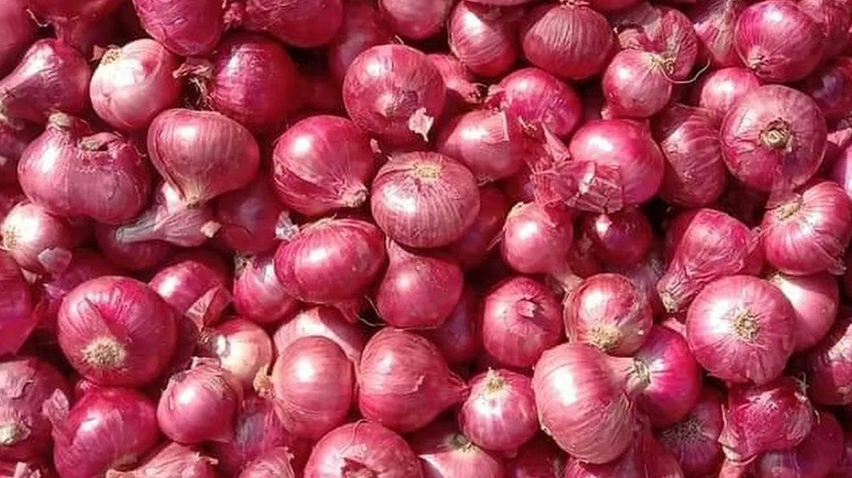 onion