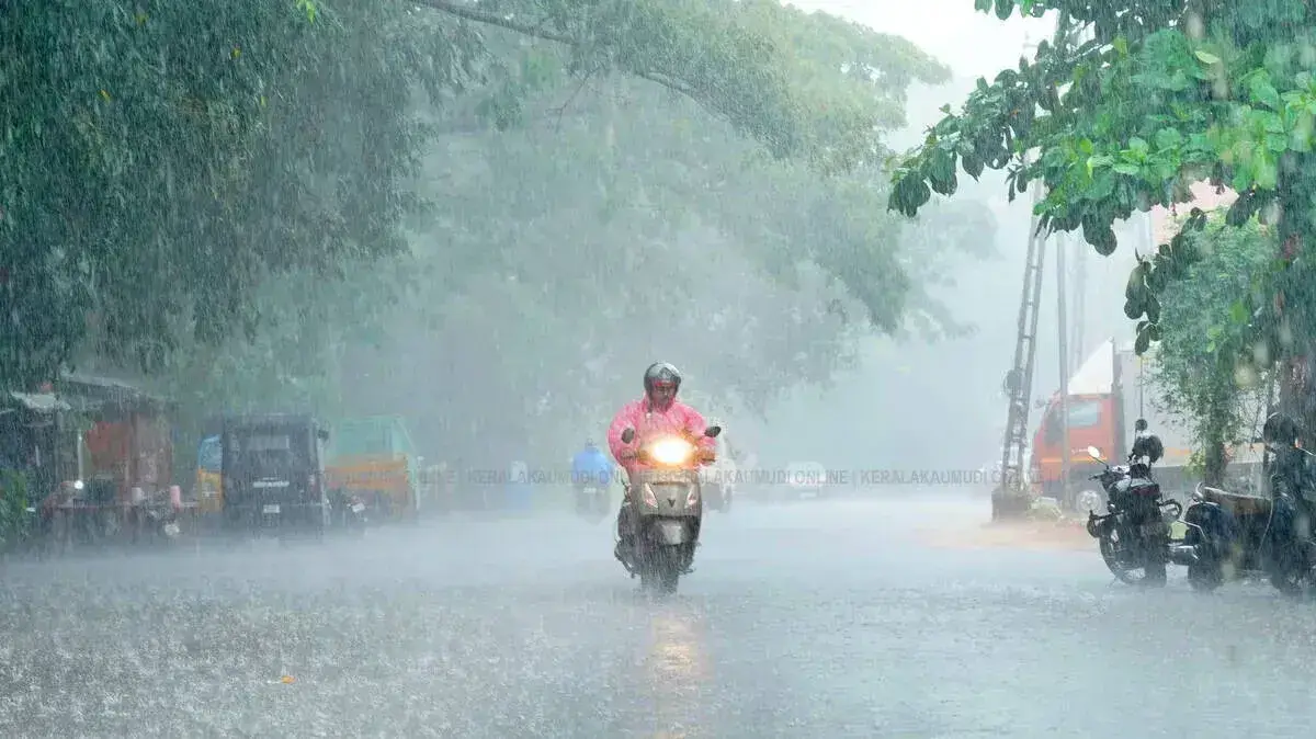 rain