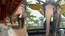 brahmadathan