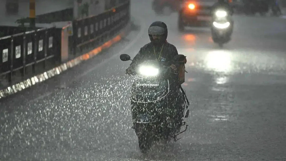 rain