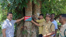 vettikadu-timber-depot