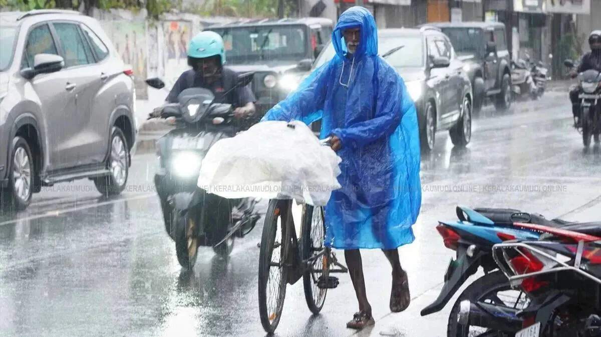 rainfall