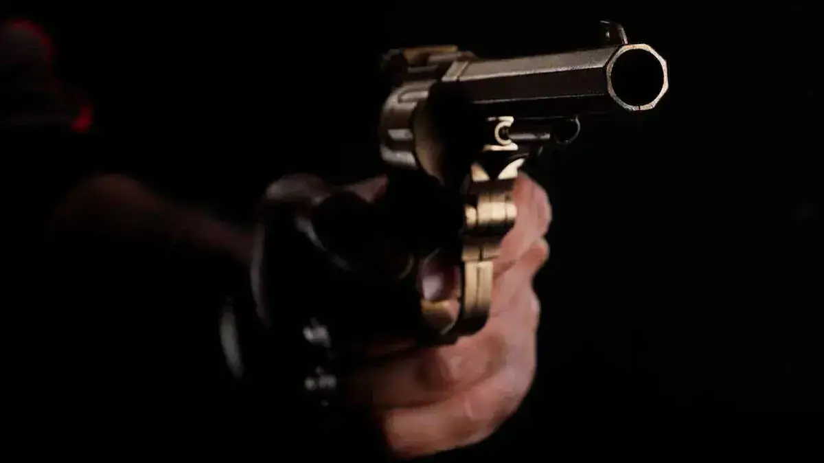 gun